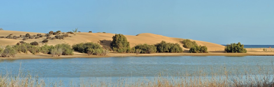 Maspalomas Gran Canaria