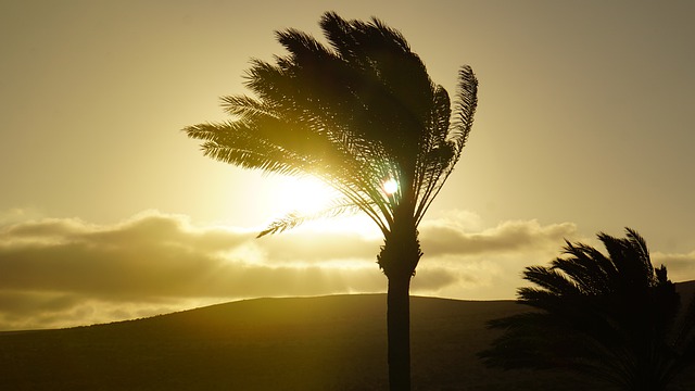 Vakantie Fuerteventura Canarische Eilanden Spanje